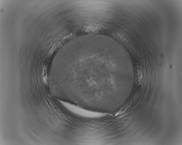 X0000057100508200509231719