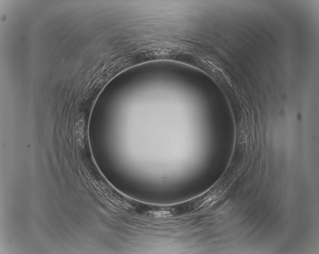 X0000057100509200509231719