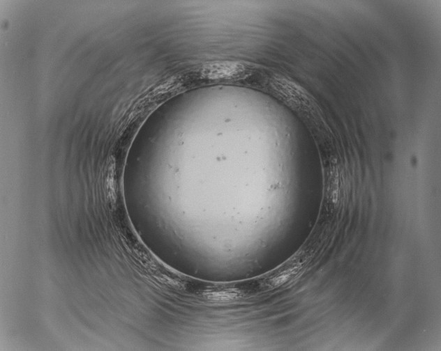 X0000057100510200509231719