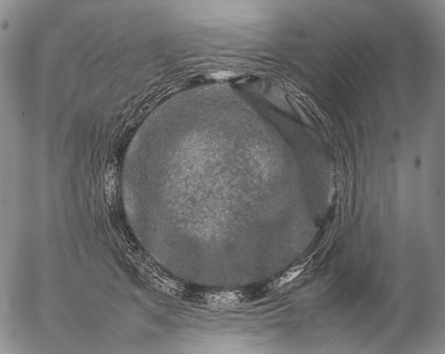 X0000057100513200509231719