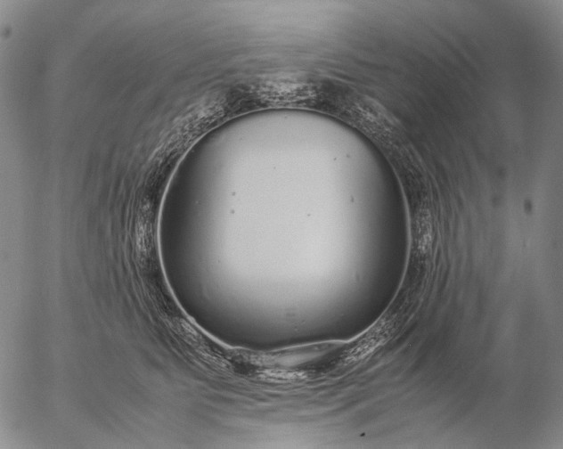 X0000057100515200509231719