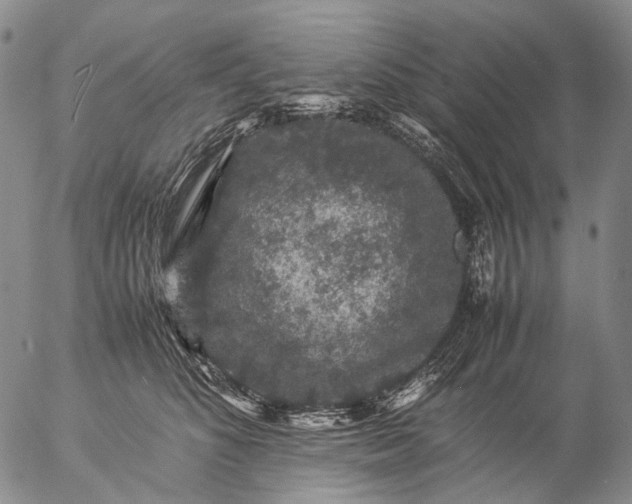 X0000057100516200509231719