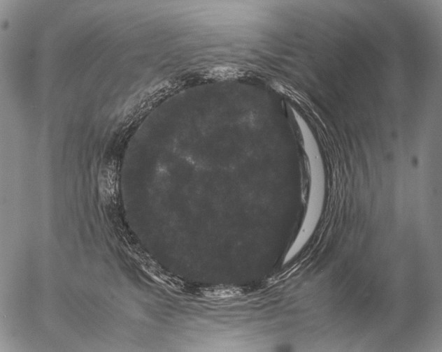 X0000057100517200509231719