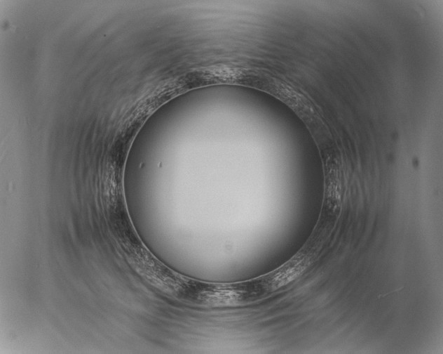 X0000057100518200509231719