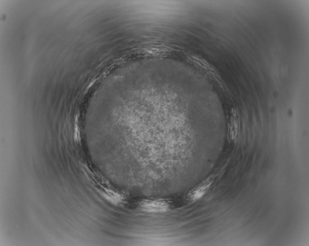 X0000057100520200509231719