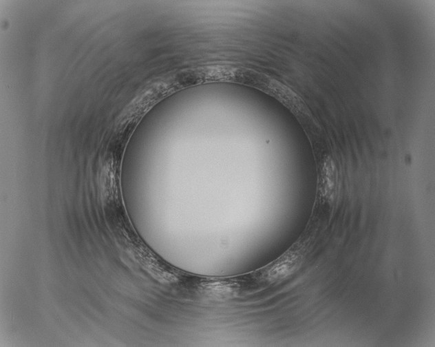 X0000057100522200509231719