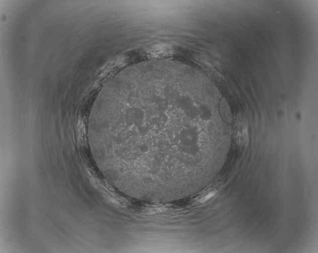 X0000057100523200509231719