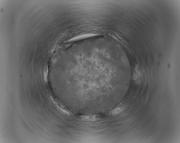 X0000057100524200509231719