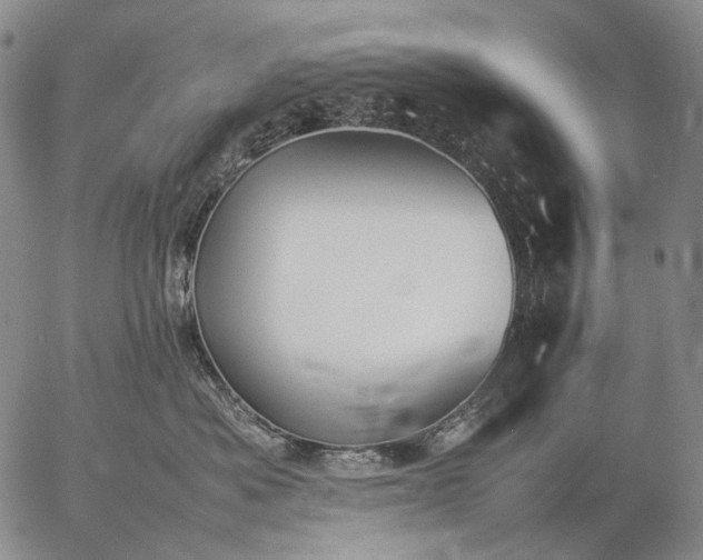 X0000057100525200509231719