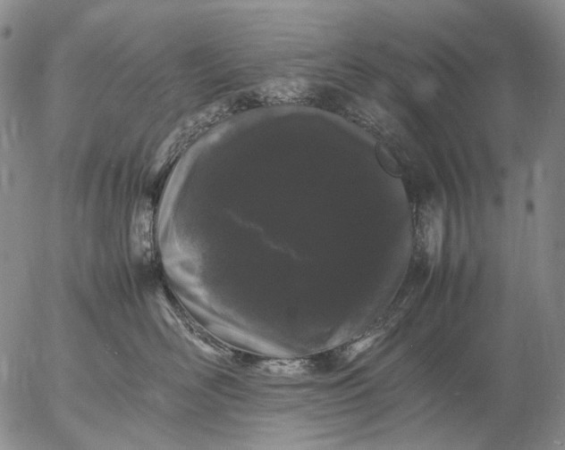 X0000057100526200509231719