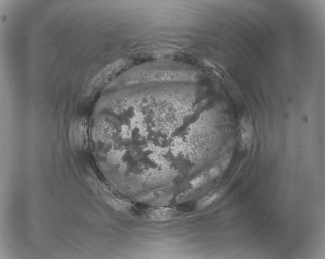 X0000057100527200509231719