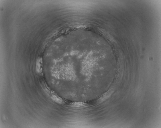 X0000057100528200509231719