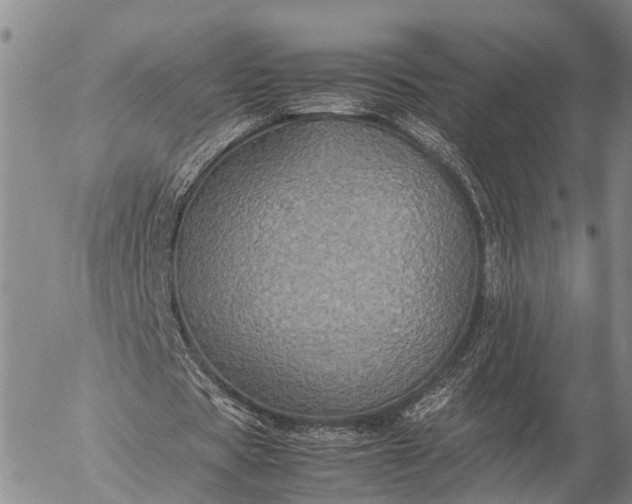 X0000057100529200509231718