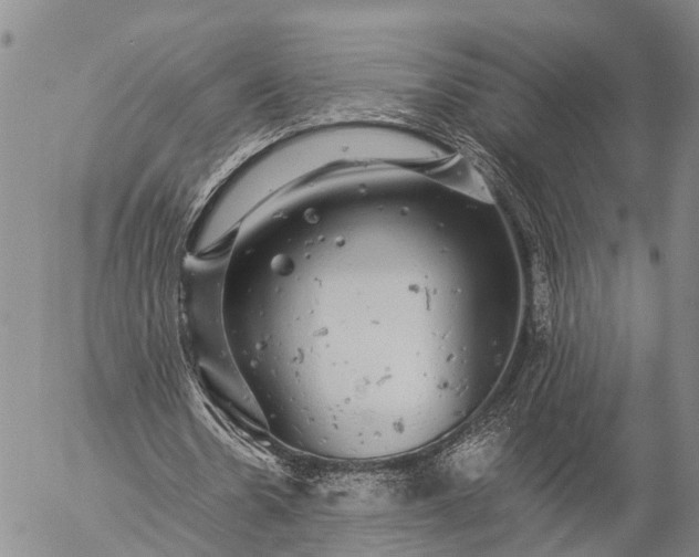 X0000057100530200509231718