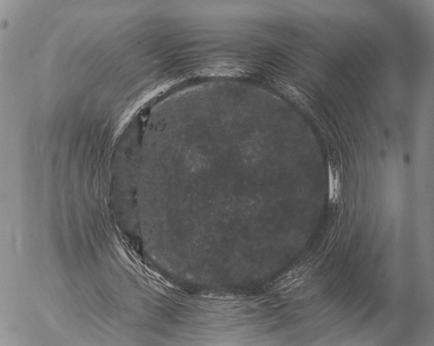 X0000057100531200509231718