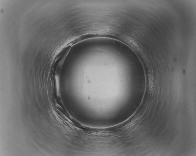 X0000057100532200509231718