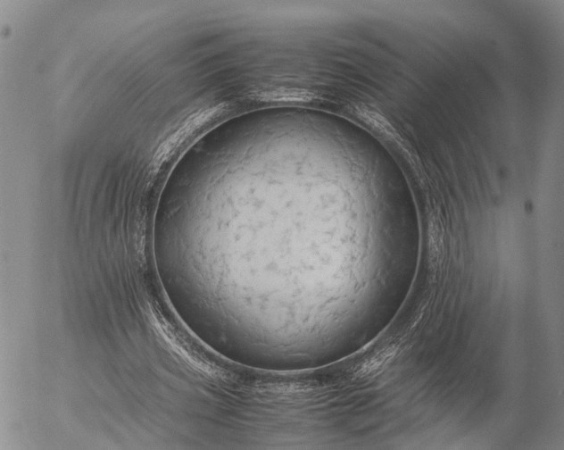 X0000057100533200509231718