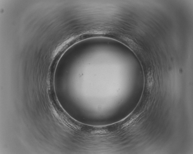 X0000057100536200509231718