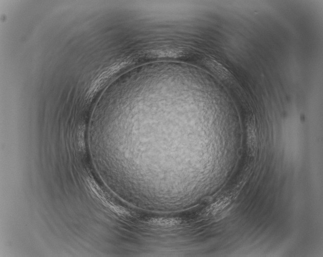 X0000057100537200509231718