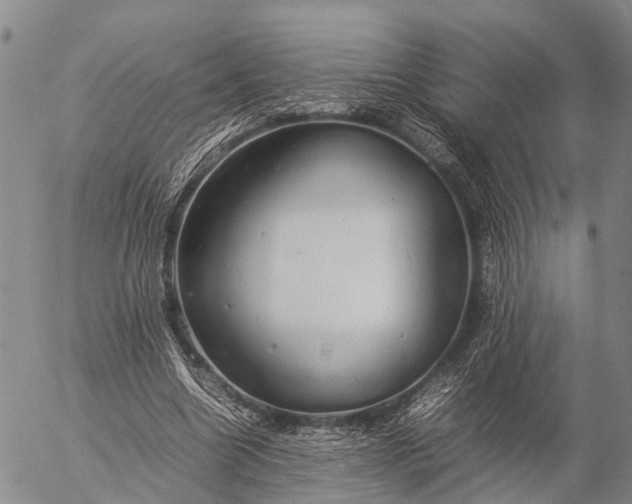 X0000057100538200509231718