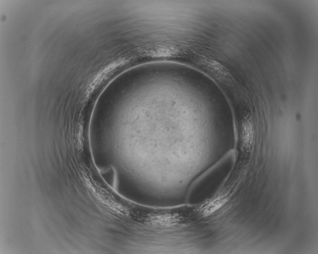 X0000057100540200509231718