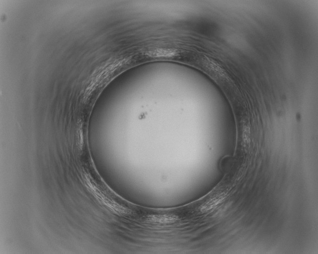 X0000057100541200509231718