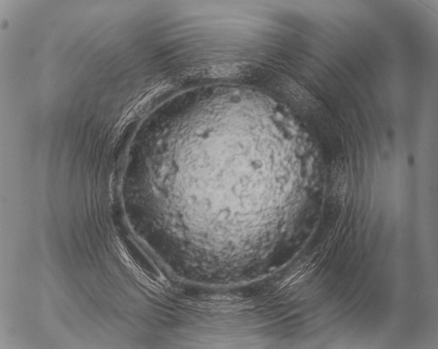 X0000057100542200509231718