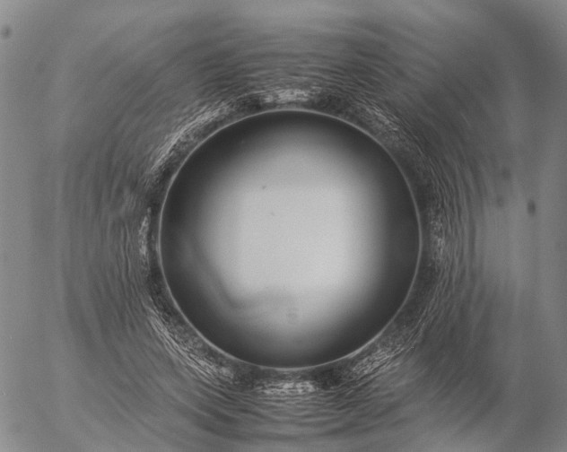 X0000057100543200509231718