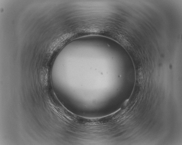 X0000057100544200509231718