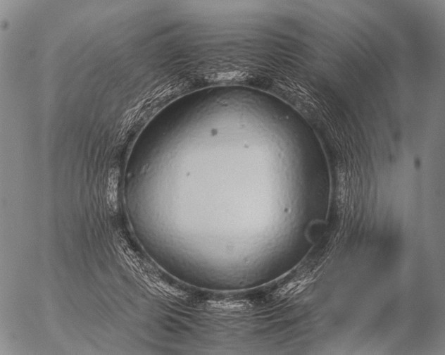 X0000057100545200509231718