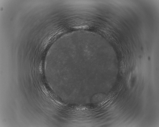 X0000057100547200509231718