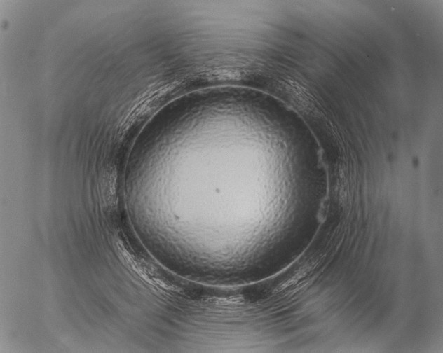 X0000057100548200509231718