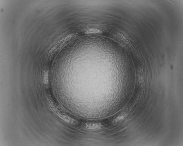 X0000057100549200509231718