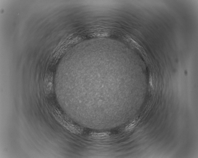 X0000057100553200509231719