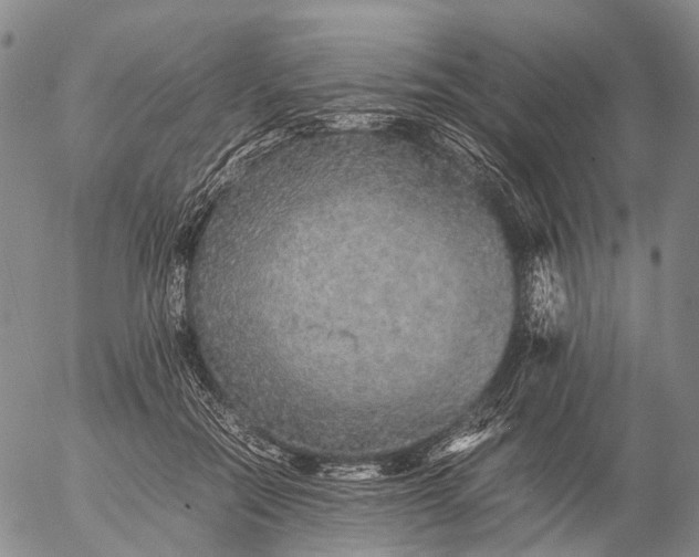 X0000057100554200509231719