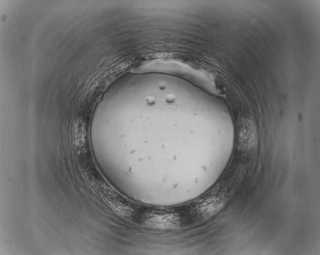 X0000057100555200509231719