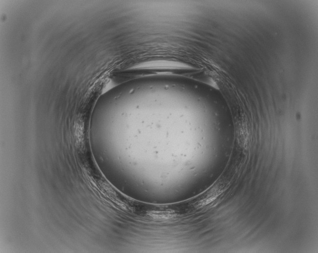 X0000057100556200509231719