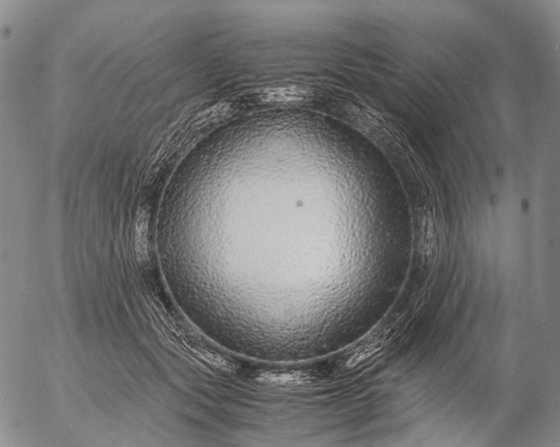 X0000057100557200509231719