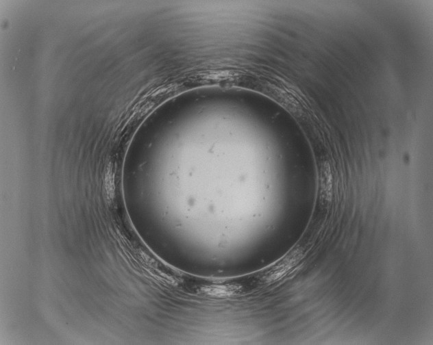 X0000057100558200509231719