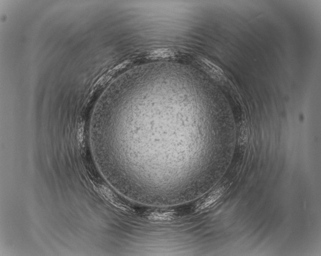 X0000057100560200509231719