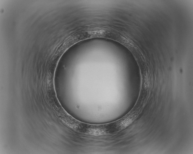 X0000057100561200509231719