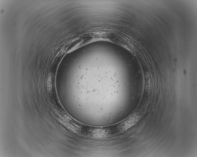 X0000057100562200509231719