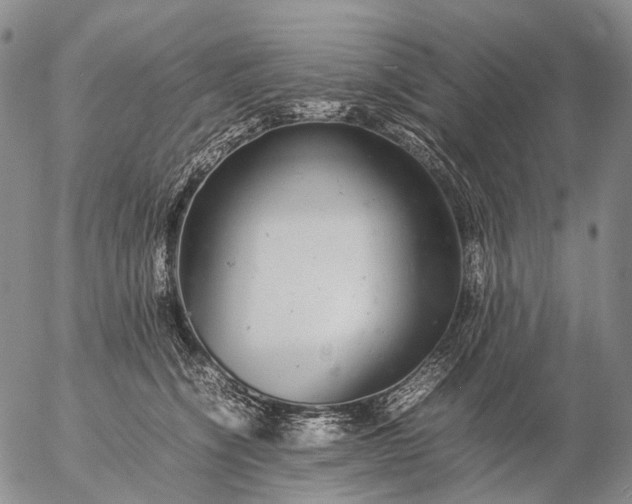 X0000057100564200509231719