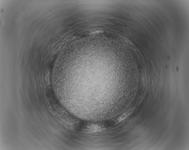 X0000057100565200509231719