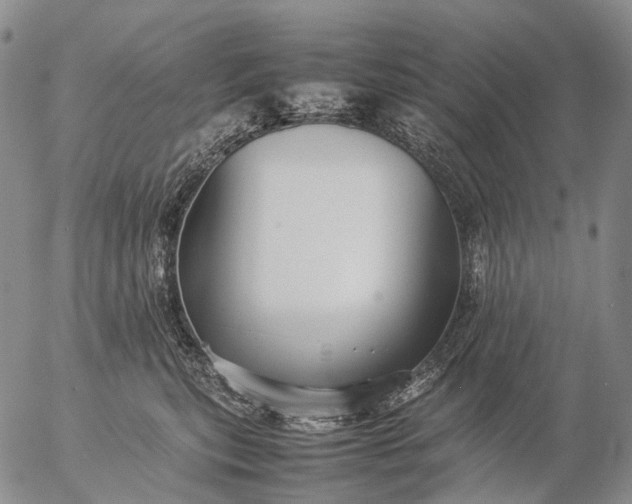 X0000057100567200509231719