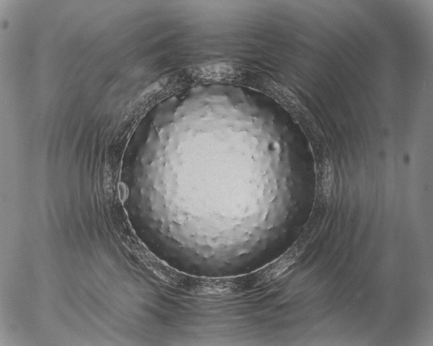 X0000057100569200509231719