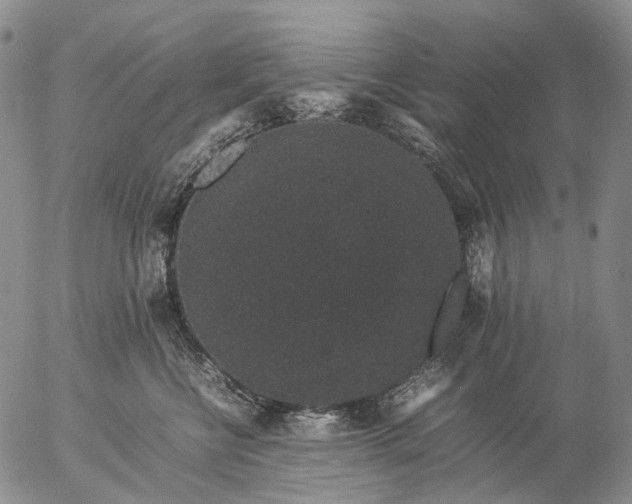 X0000057100570200509231719