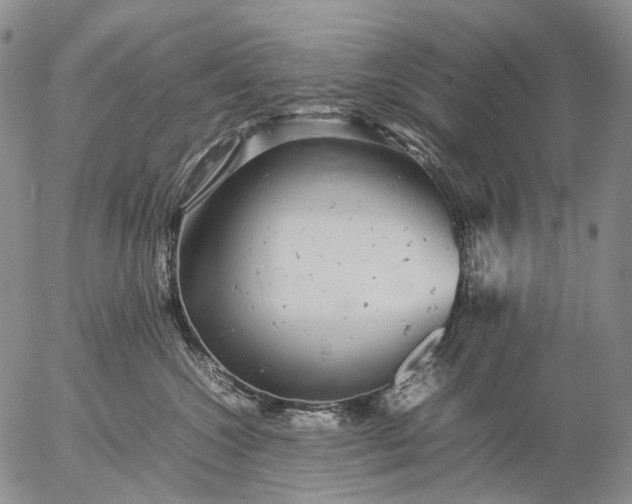 X0000057100572200509231719