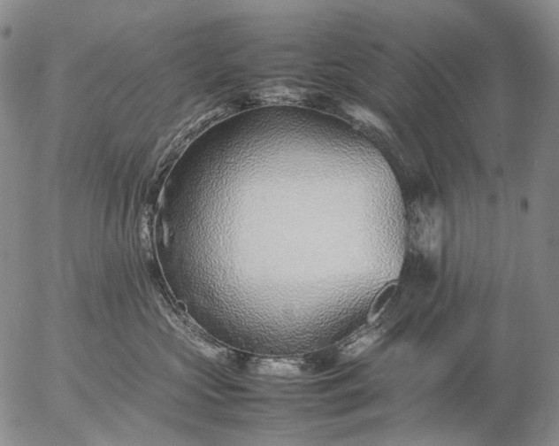 X0000057100573200509231719