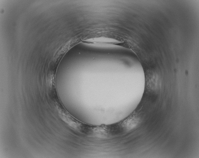 X0000057100574200509231719